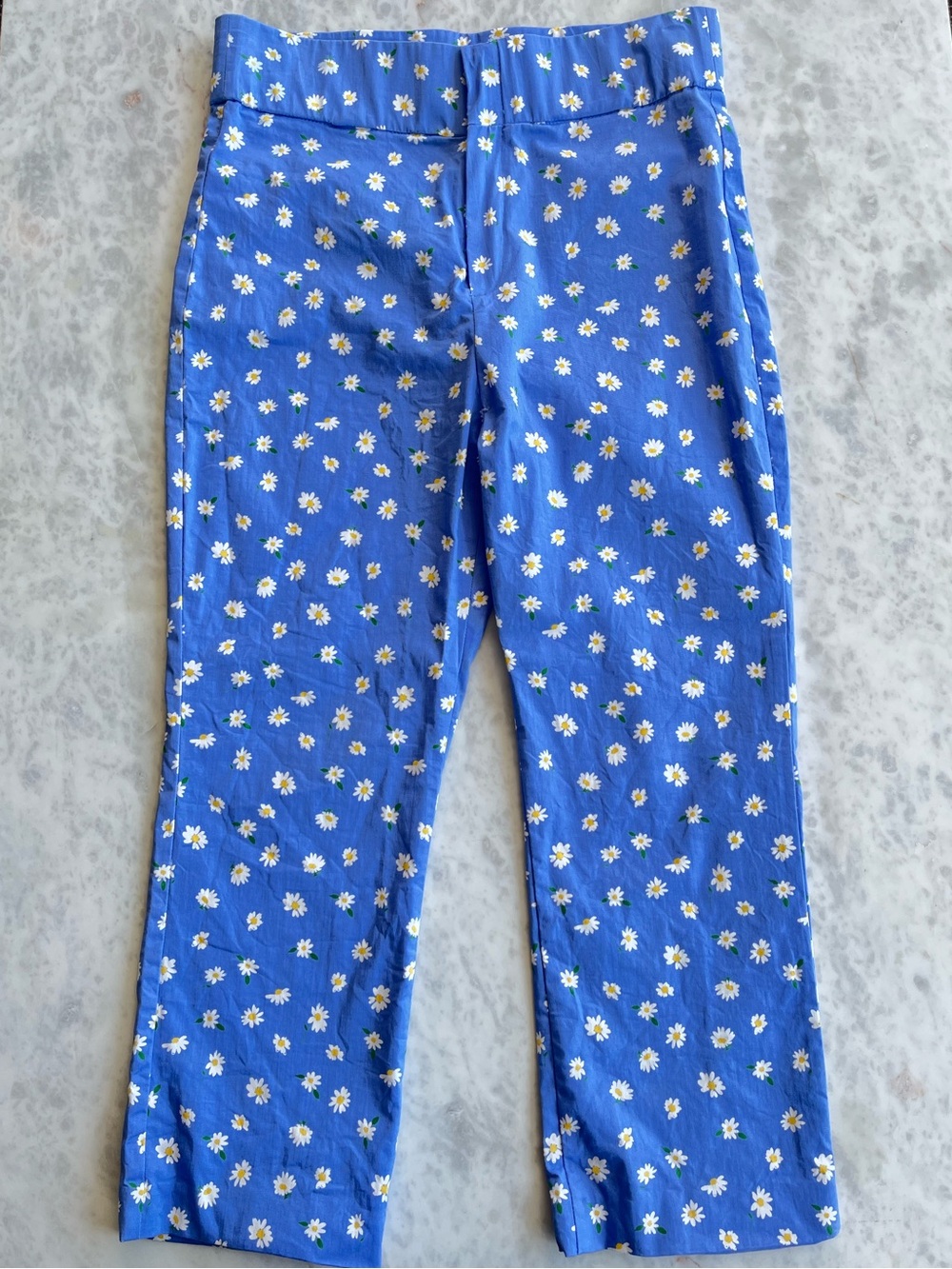 Zara Blue Floral Capris with White Daisies